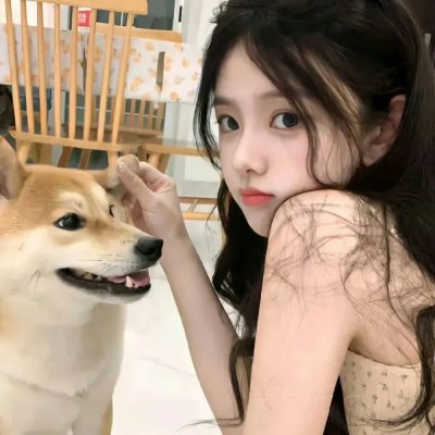 公猫